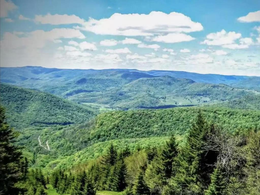 Enjoy The Long Range View, Ski In N Out Top Of The Mountain Condo Snowshoe Kültér fotó